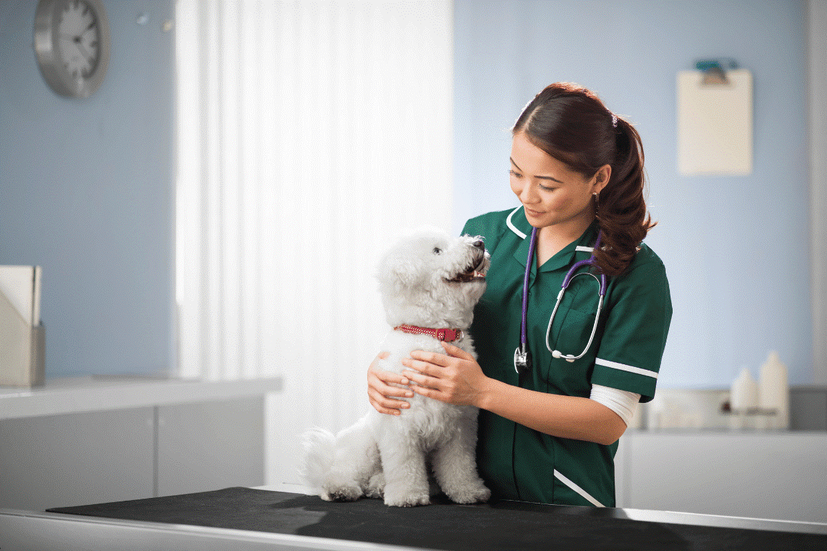 Scrubs Supplier in UAE